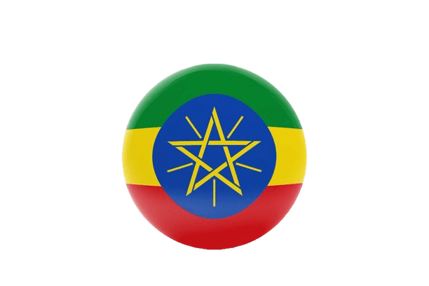ethiopia flag ambessa ong
