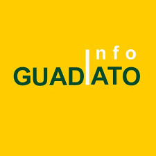 logo info guadiato ambessa ong